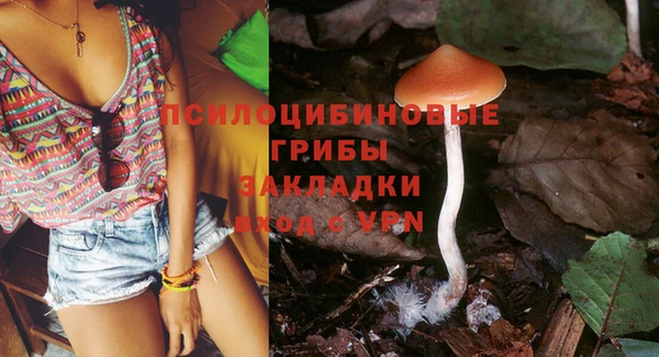 шишки Алзамай