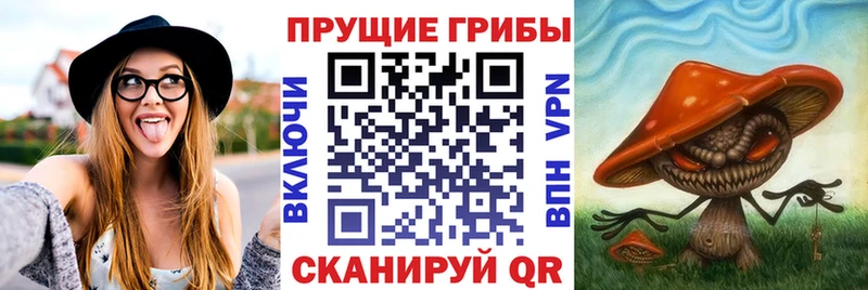 сколько стоит  Сасово  Галлюциногенные грибы Cubensis 